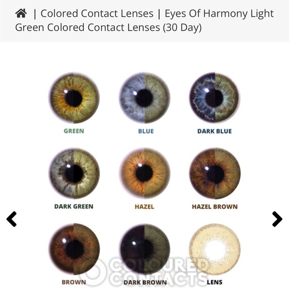 Chromaview Eyes of Harmony Colored Contact Lenses - Picture 5 of 5